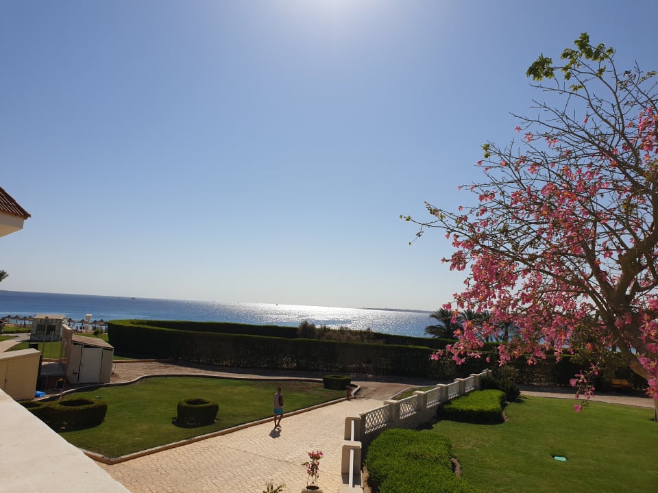 Ausblick Old Palace Resort Sahl Hasheesh