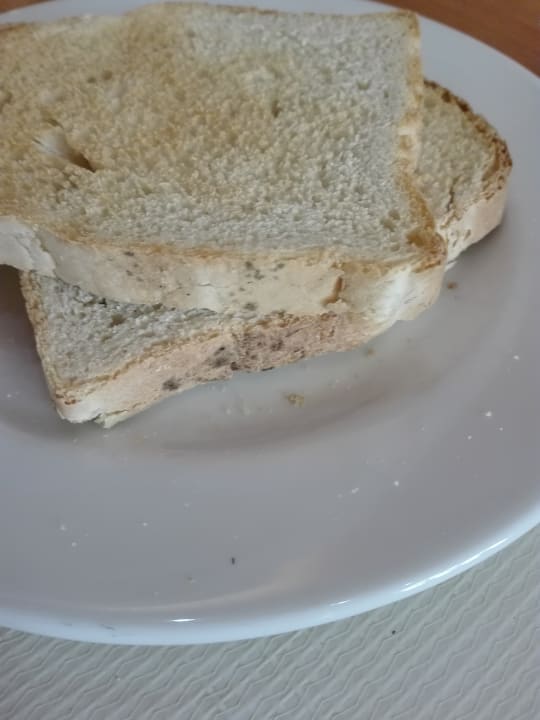 Schimmeliges Brot Hotel Roc Barlovento