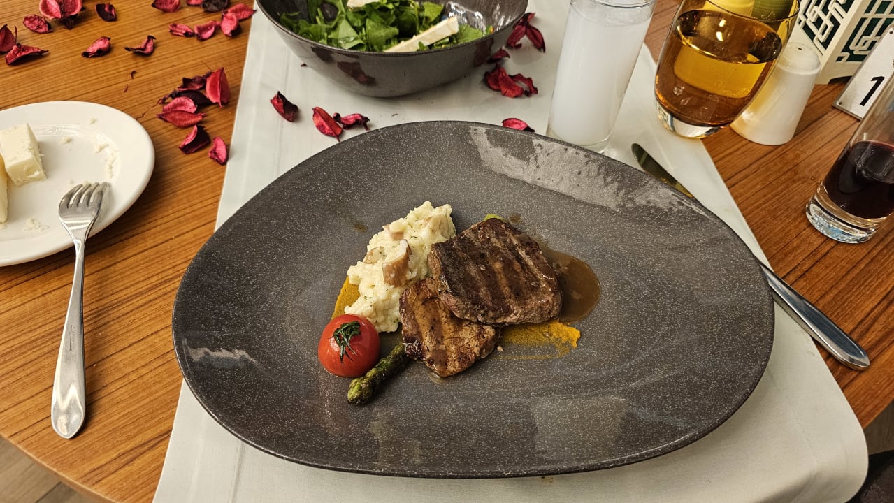 Gastro Adalya Elite Lara