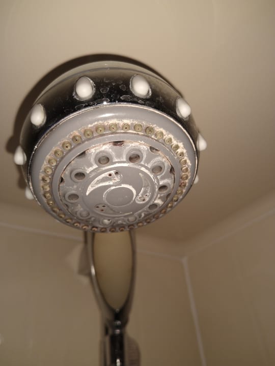 Zimmer Pension Zechliner Hof