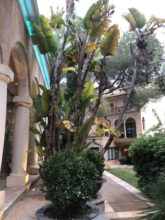 Gartenanlage Lago Garden