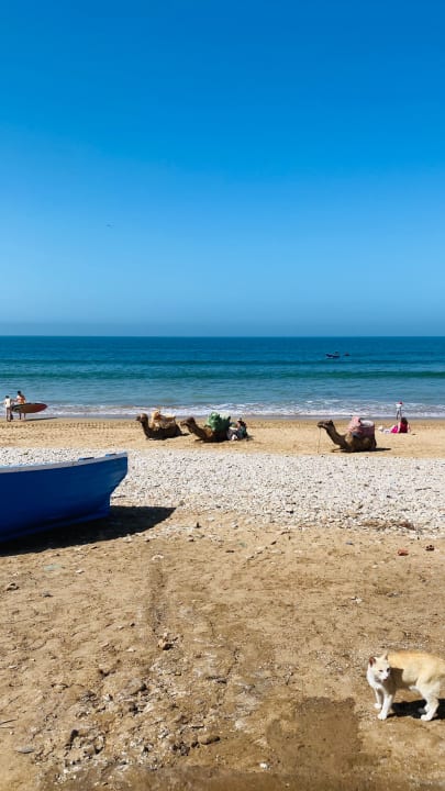 Strand L'auberge Taghazout