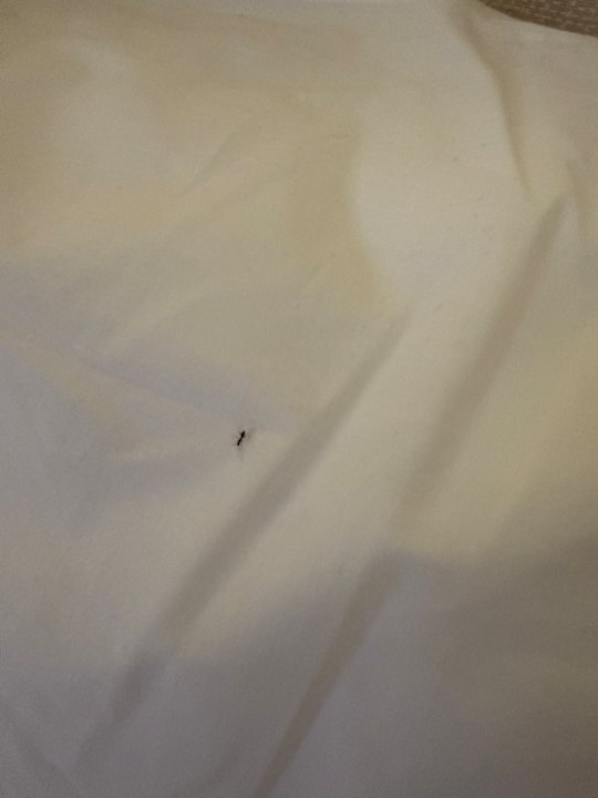 Zimmer Abora Buenaventura by Lopesan Hotels