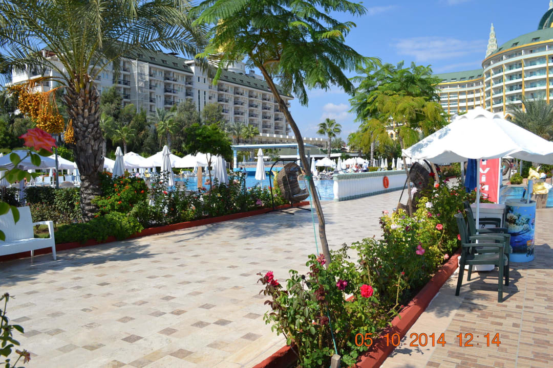 Pool Hotel Delphin Imperial