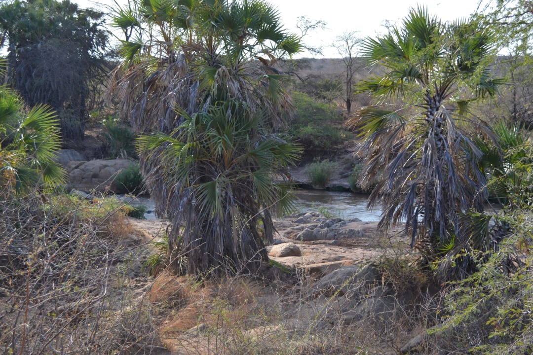Blick von der Zeltterrasse Man Eaters Camp/Lodge