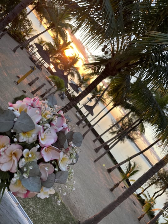 Ausblick Lagoon Attitude - Adults only