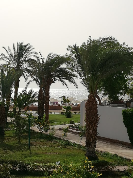 Zimmer Menaville Safaga