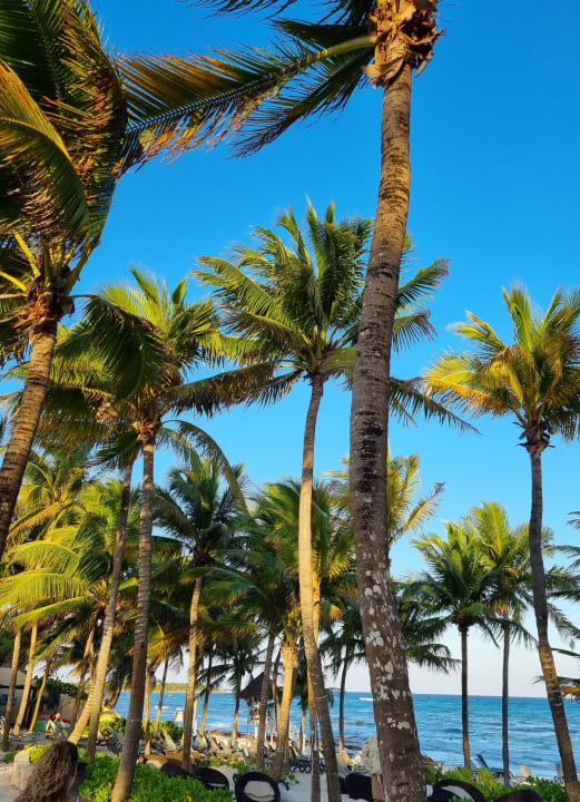 Strand Catalonia Royal Tulum Beach & Spa Resort - Adults only