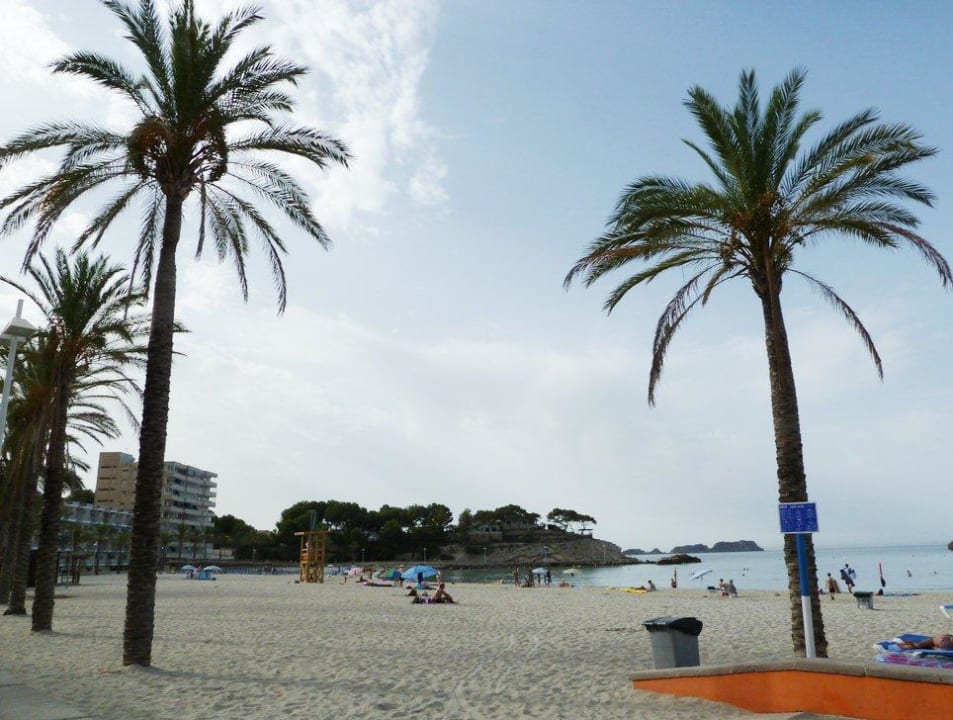 Echt sauber Valentin Reina Paguera