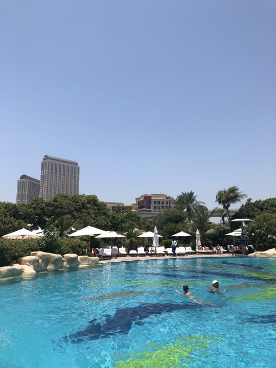 Pool Grand Hyatt Dubai