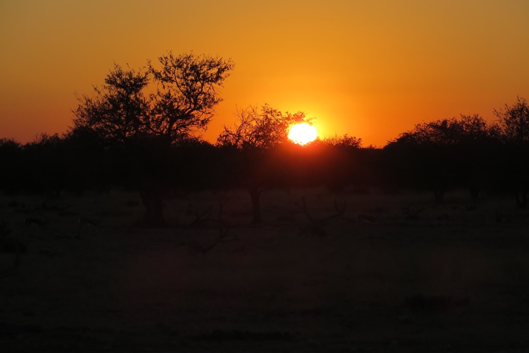 Sonnenuntergang Etosha Safari Camp