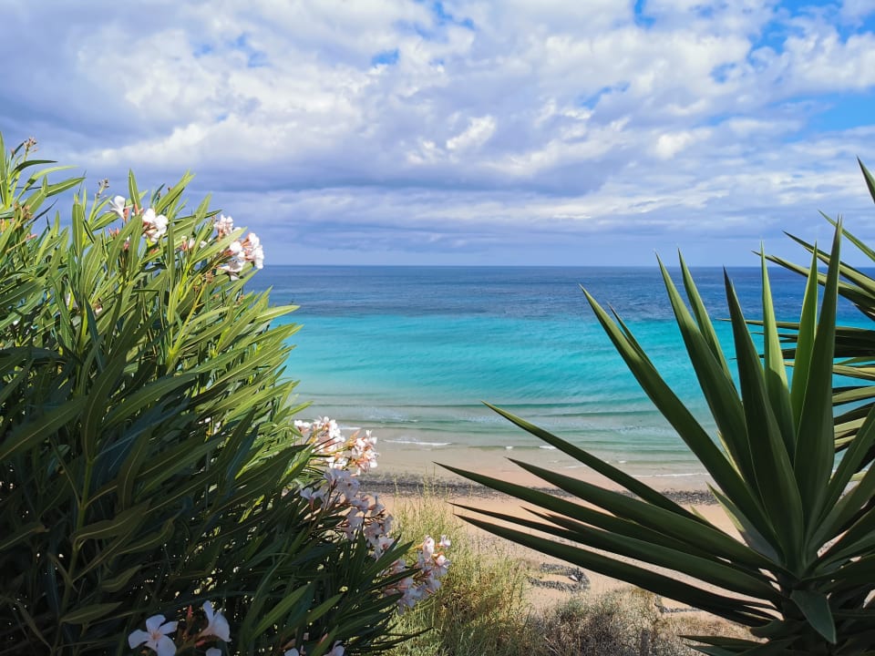 Strand Marina Playa Suite Hotel