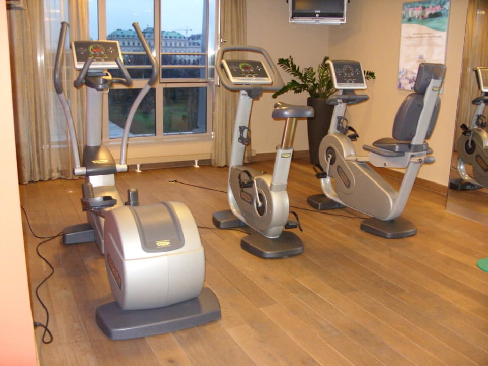 Wellnessbereich - Fitnessgeräte Lindner Hotel Vienna Am Belvedere, part of JdV by Hyatt