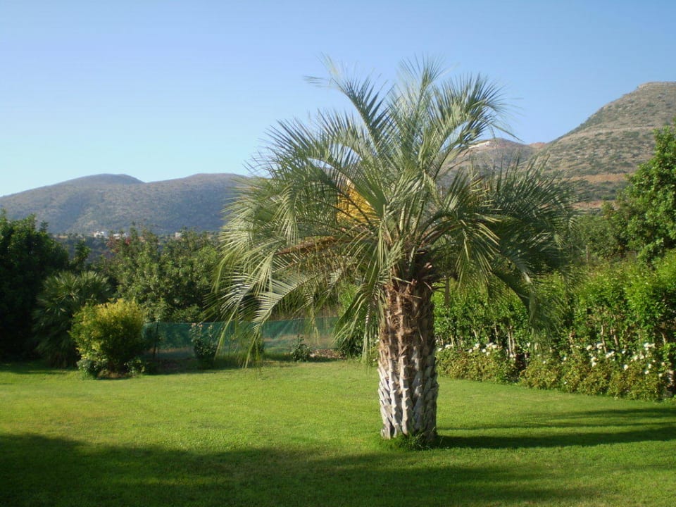 Ausblick Hotel Paloma Garden