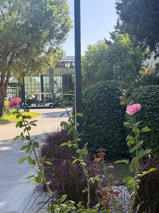 Außenansicht Paloma Finesse