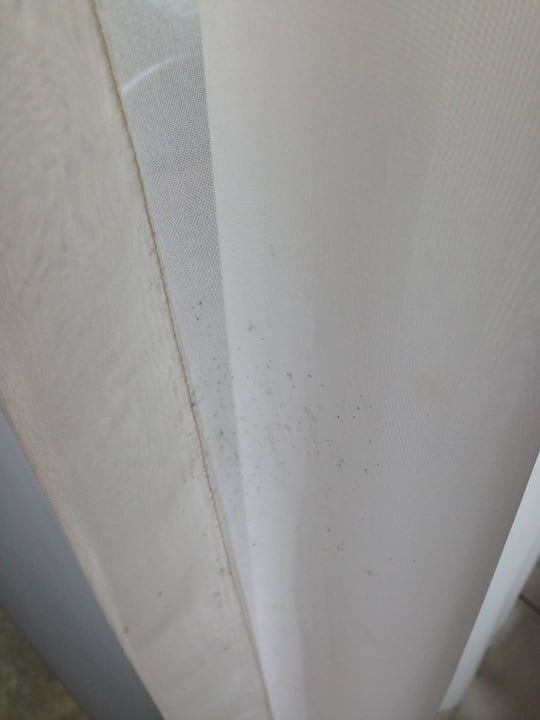 Schmutzige Gardine BlueBay Grand Esmeralda