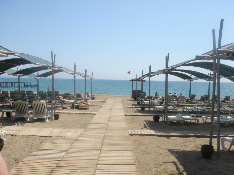 Jdeme na pláž Papillon Ayscha