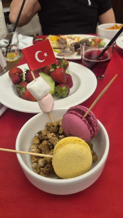 Gastro Adalya Elite Lara