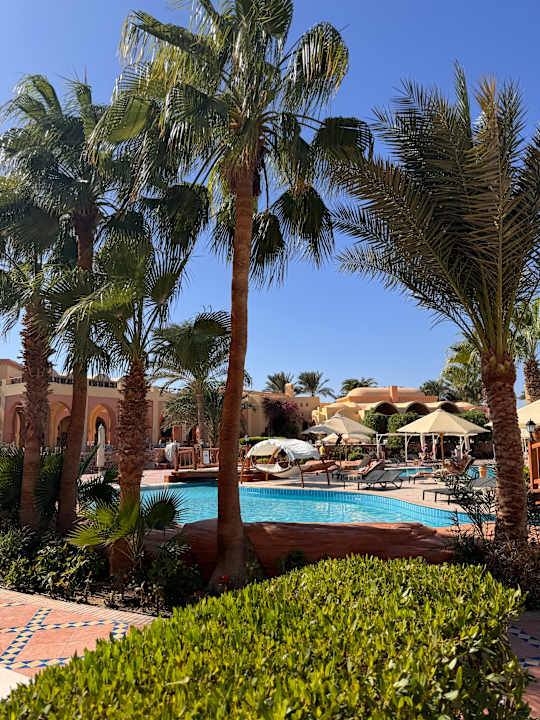 Pool Steigenberger Coraya Beach - Adults only