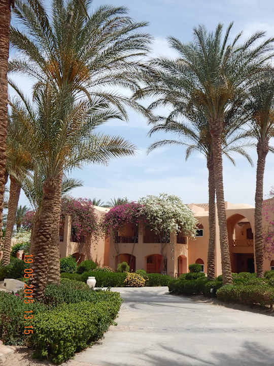 Makadi Oasis Jaz Makadi Oasis Resort