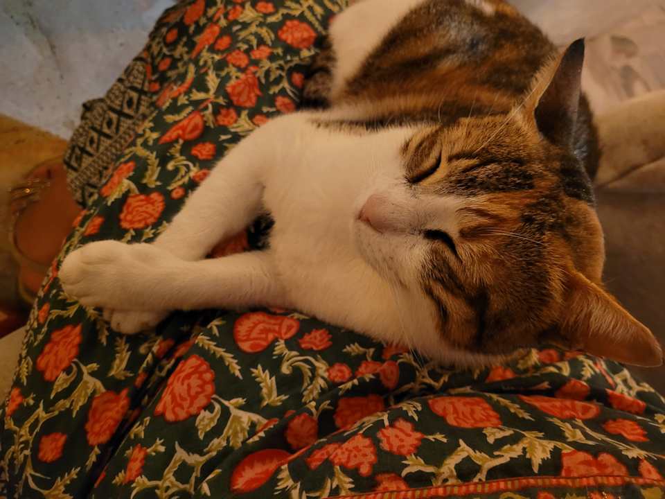 Sport & Freizeit Arabia Azur Resort