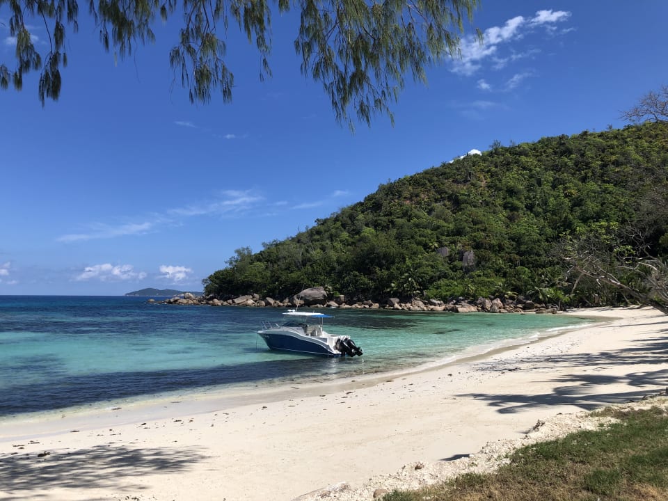 Strand Constance Lemuria