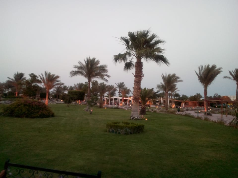 Gartenanlage Desert Rose