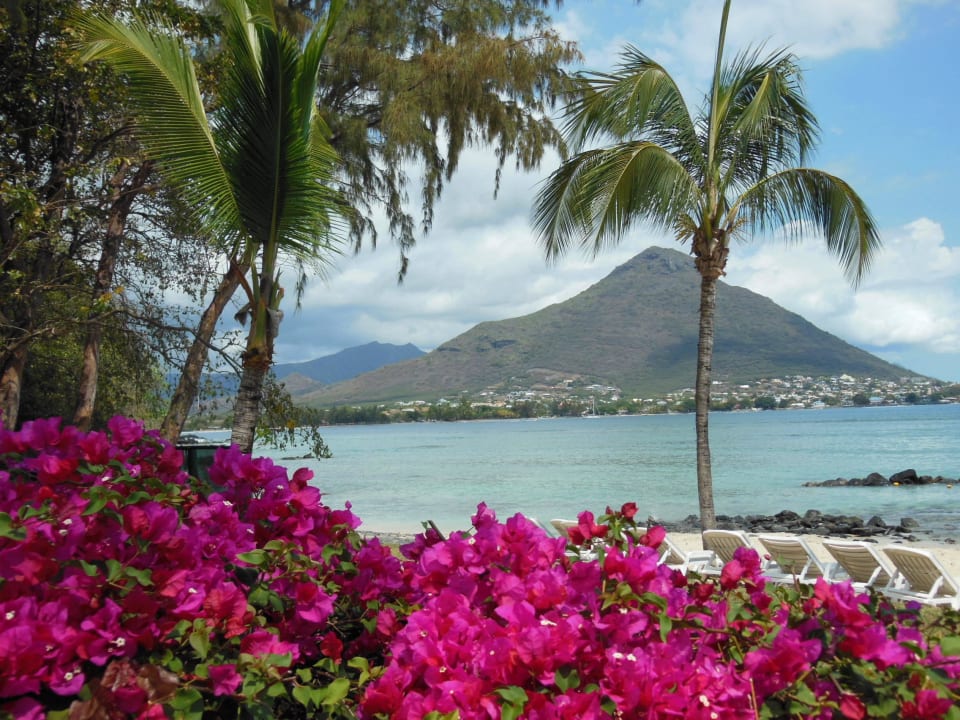 Garden and beach Sands Suites Resort & Spa