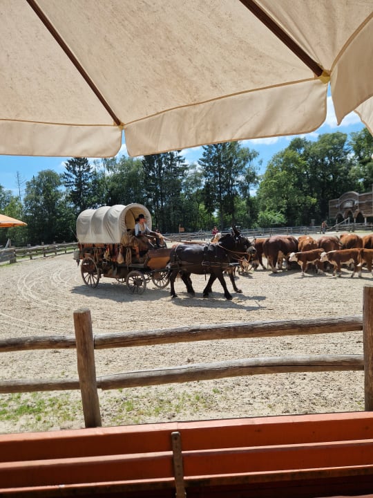 Sport & Freizeit PonyparkCity