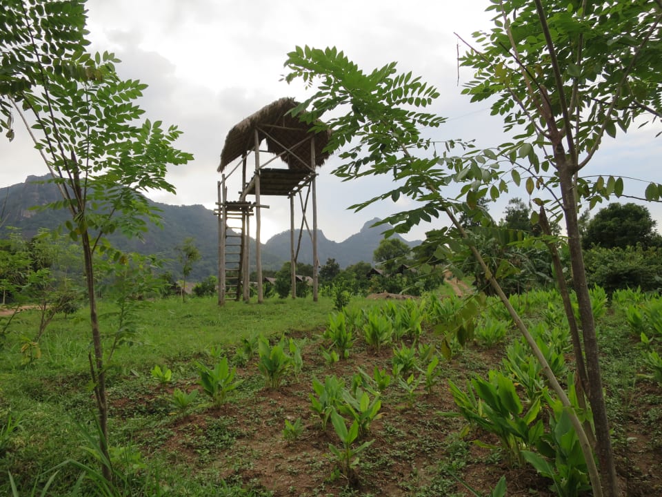 Gartenanlage Wild Glamping Gal Oya - Thema Collection