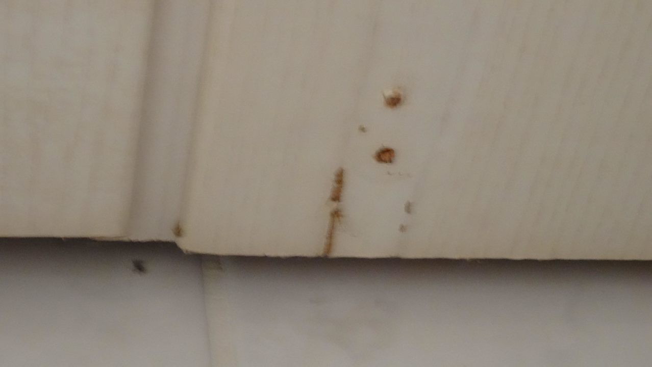 Deckentäfelung Leonardo Hotel Düsseldorf Airport - Ratingen