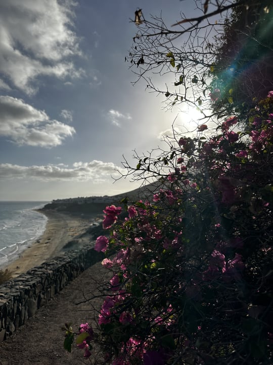 Ausblick ROBINSON ESQUINZO PLAYA