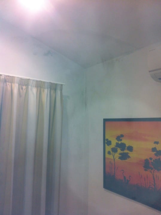 Schimmel an der ganzen Wand  HL Miraflor Suites Hotel