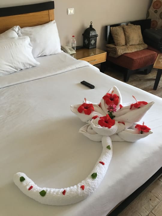 Zimmer Prima Life Makadi Resort