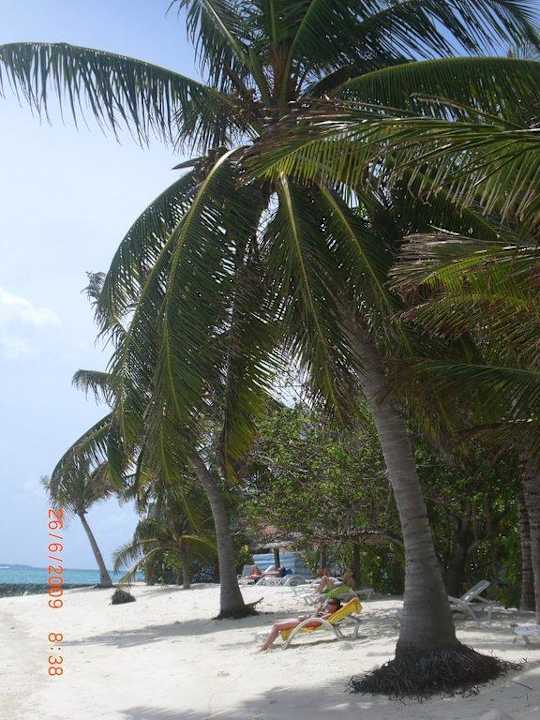 Sonne, Strand und Meer Summer Island Maldives