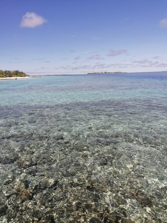 Strand Adaaran Select Meedhupparu Island Resort - Premium All Inclusive