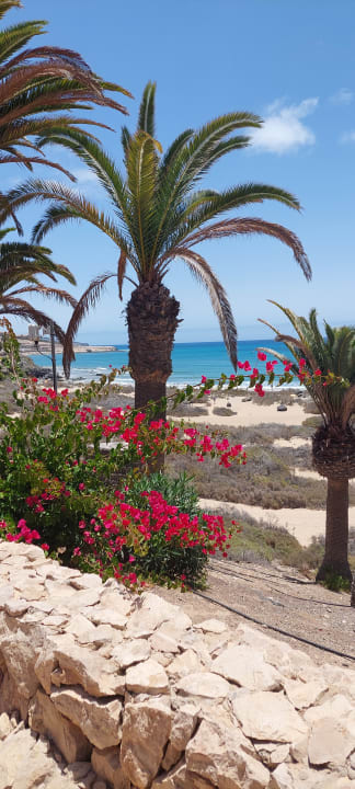 Gartenanlage SBH Monica Beach Resort