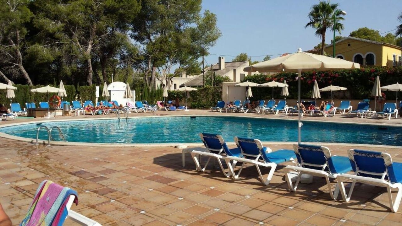 Der Pool  Grupotel Orient