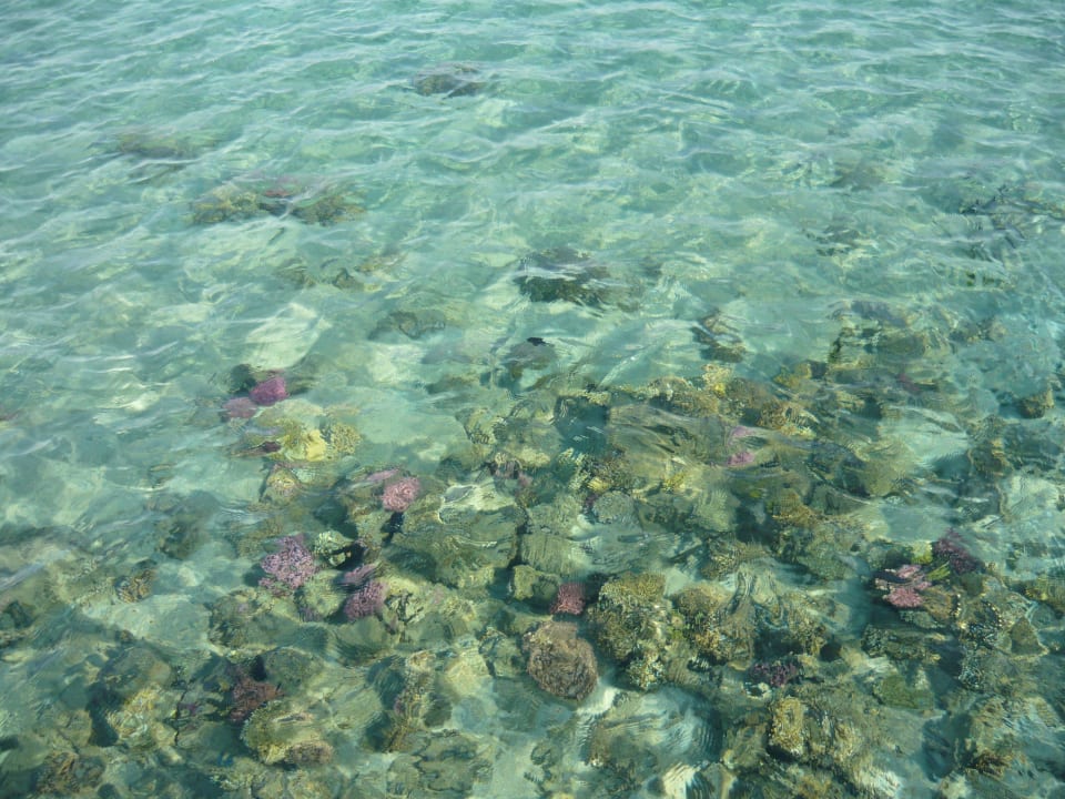 Direkt am Steg Steigenberger Makadi Hotel - Adults only