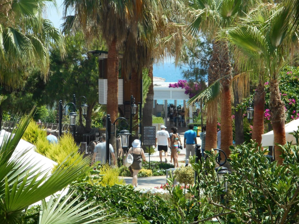 Bella Resort Bella Resort & Spa