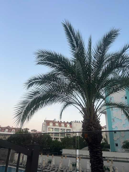 Außenansicht Side Story Resort & Spa