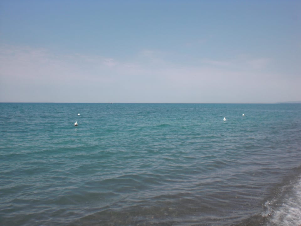 Strand in der Nähe des Hotels Bolgheri Marina Resort