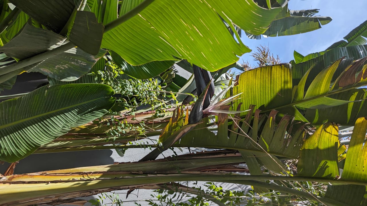 Gartenanlage Voyage Belek Golf & Spa