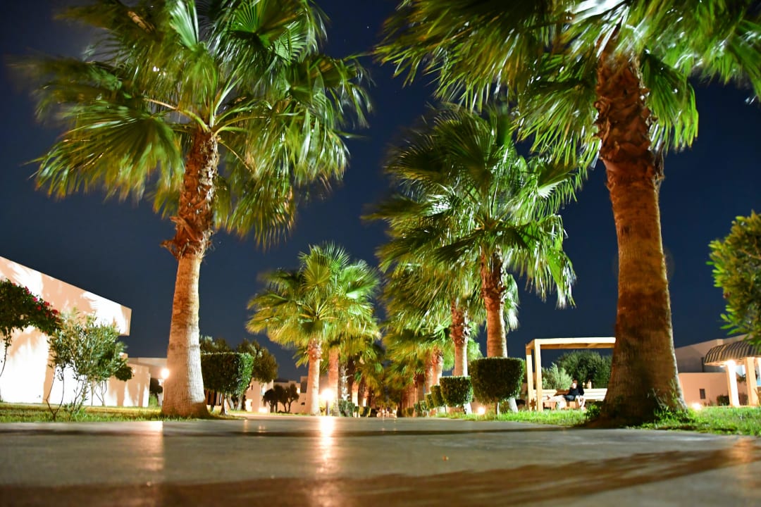 Gartenanlage Atlantica Plimmiri