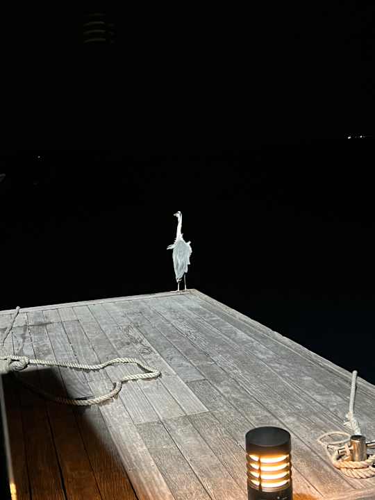 Sonstiges Vilamendhoo Island Resort & Spa