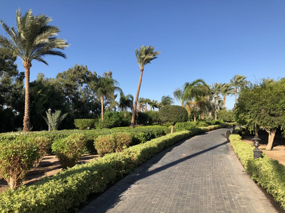 Gartenanlage Steigenberger ALDAU Beach Hotel