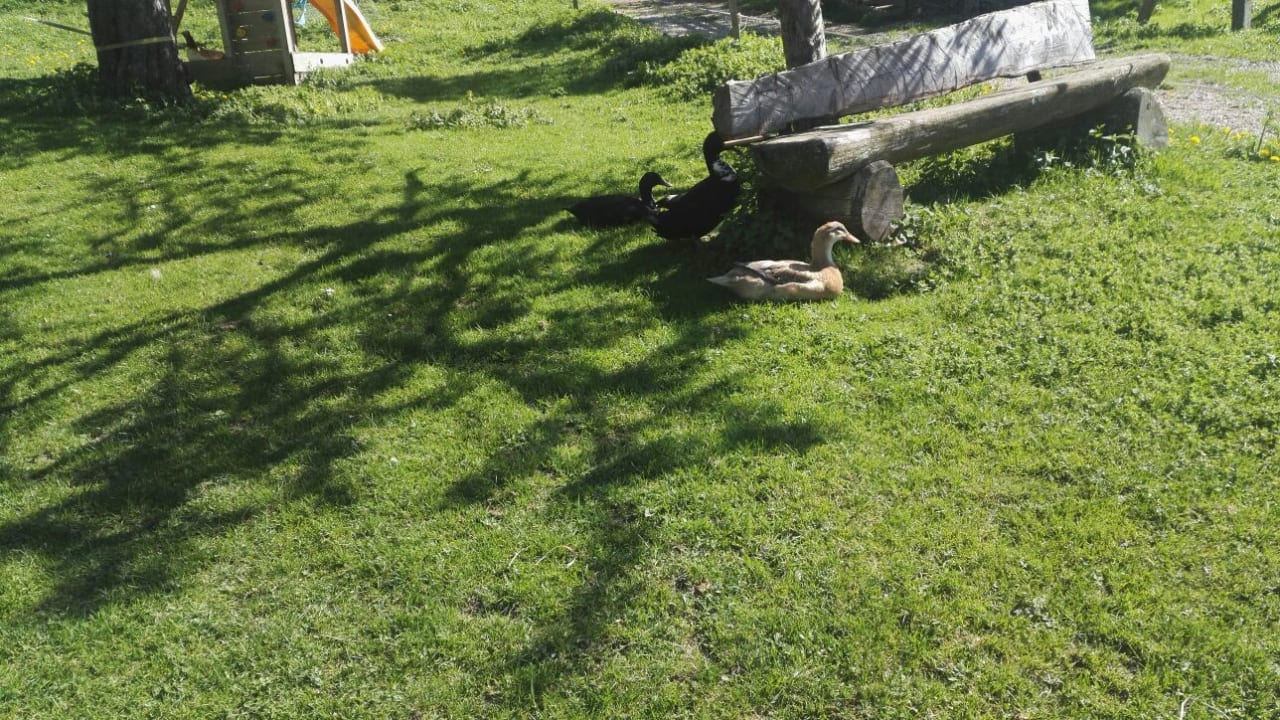 Gartenanlage Biobauernhof Walchengut