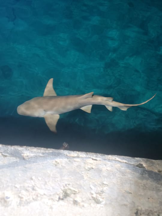 Strand Kuredu Island Resort & Spa