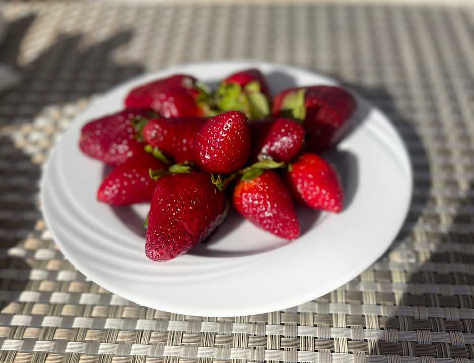 Gastro Grand Waterworld Makadi & Family Star Makadi