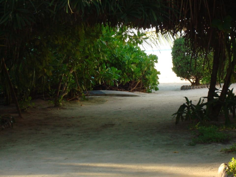 Urwald Cinnamon Hakuraa Huraa Maldives